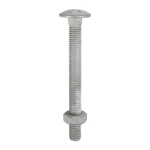 Timco Carriage Bolts & Hex Nuts - Hot Dipped Galvanised M8 x 150 - 25 Pieces