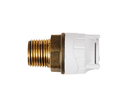 PolyFit BSPT Adaptor DZR Brass Body 10mm x 1/2inch Male White OFIT431012