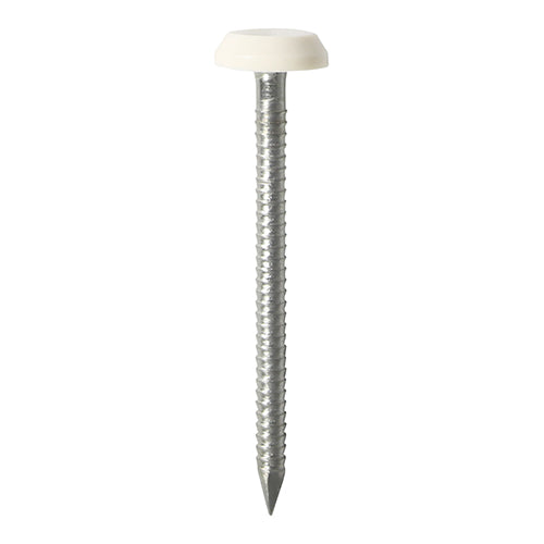 Timco Polymer Headed Nails - A4 Stainless Steel - White 40mm - 100 Pieces