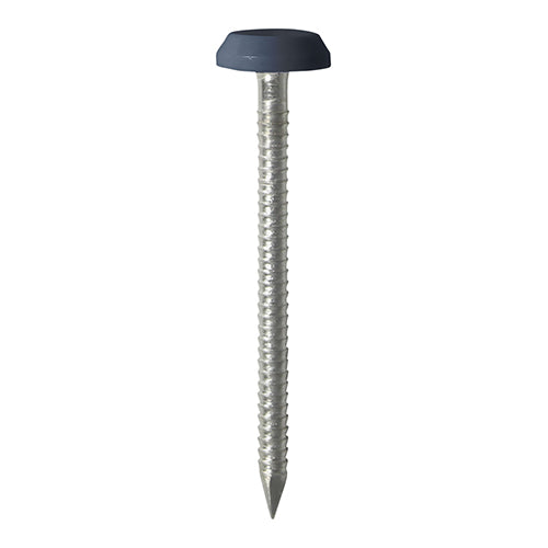 Timco Polymer Headed Nails - A4 Stainless Steel - Anthracite Grey 65mm - 100 Pieces