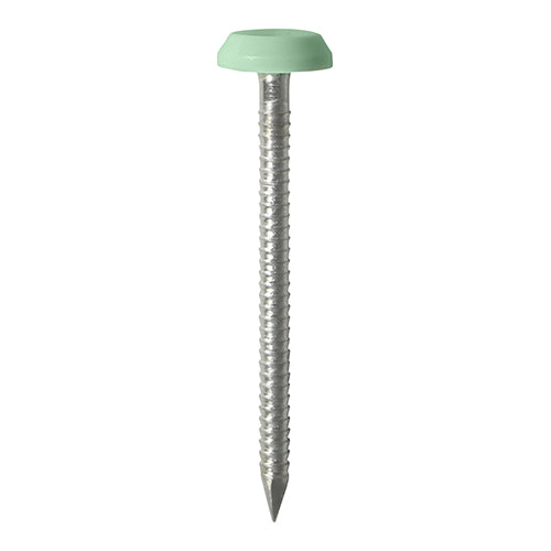 Timco Polymer Headed Nails - A4 Stainless Steel - Chartwell Green 65mm - 100 Pieces