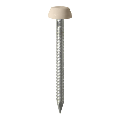 Timco Polymer Headed Pins - A4 Stainless Steel - Beige 25mm - 250 Pieces