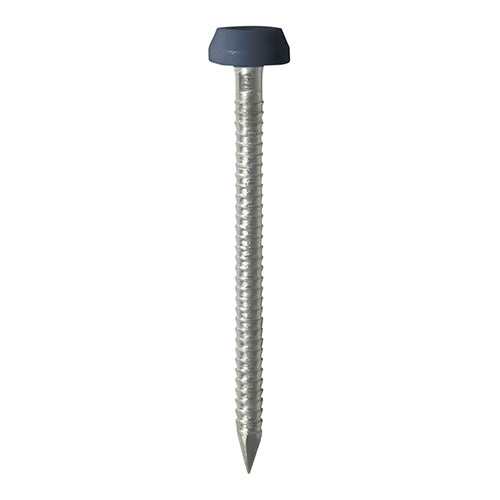 Timco Polymer Headed Pins - A4 Stainless Steel - Anthracite Grey 30mm - 250 Pieces