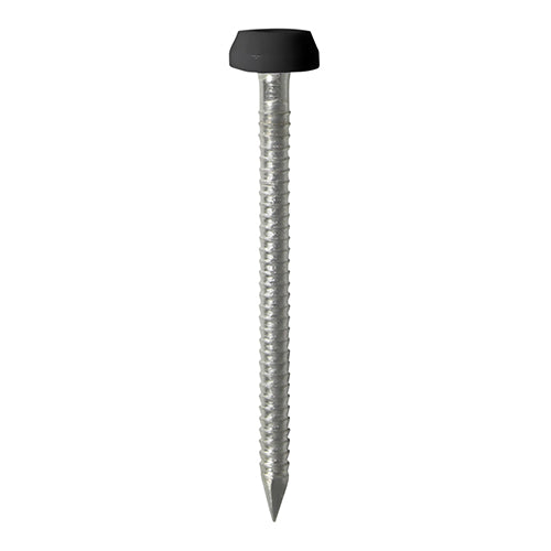 Timco Polymer Headed Pins - A4 Stainless Steel - Black 40mm - 250 Pieces