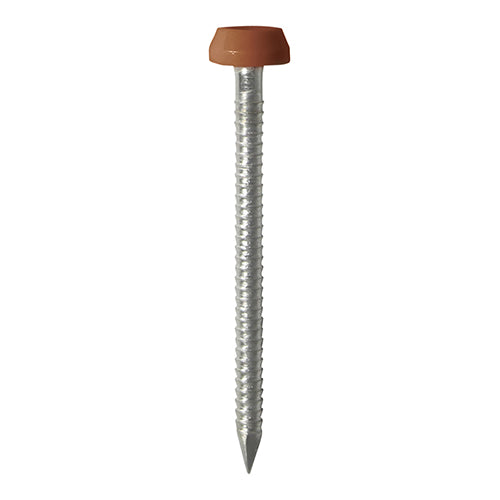 Timco Polymer Headed Pins - A4 Stainless Steel - Clay Brown 40mm - 250 Pieces