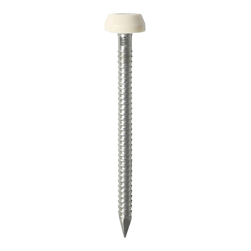 Timco Polymer Headed Pins - A4 Stainless Steel - Cream 40mm - 250 Pieces