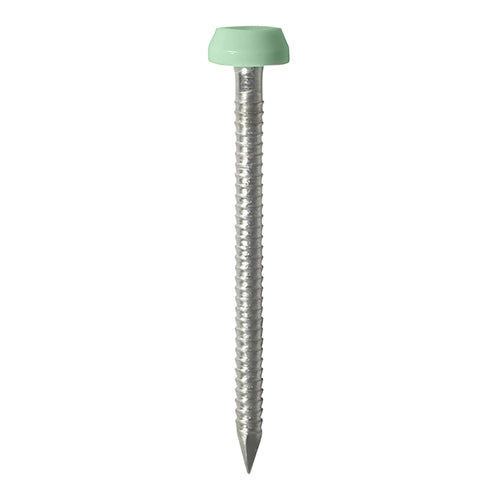 Timco Polymer Headed Pins - A4 Stainless Steel - Chartwell Green 40mm - 250 Pieces